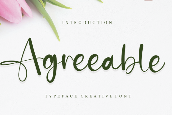 Agreeable Script Font for Modern Web Design