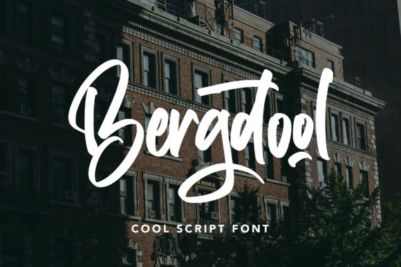 Bergdool Font for Modern Branding Projects