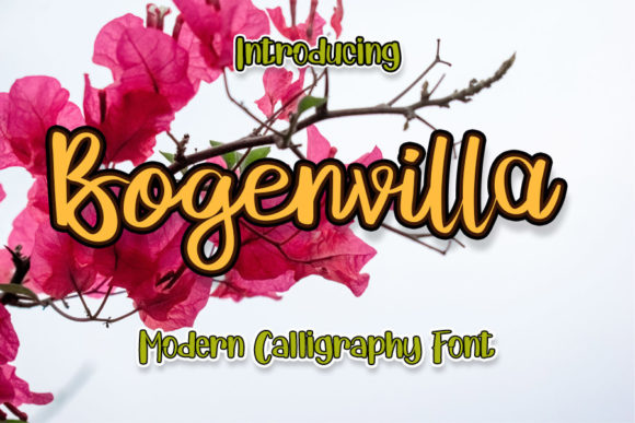 Bogenvilla Font for Elegant Editorial Design