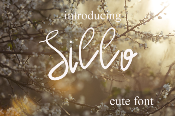 Sillo: A Handwritten Font for Romantic Editorial Design