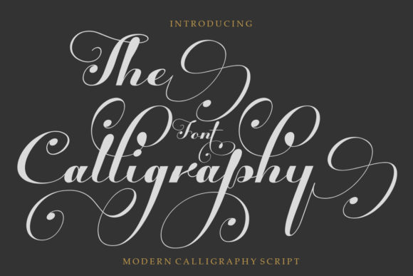 The Calligraphy: A Modern Script Font for Web Design