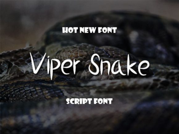 Viper Snake: A Chic Handwritten Font for Creative Branding